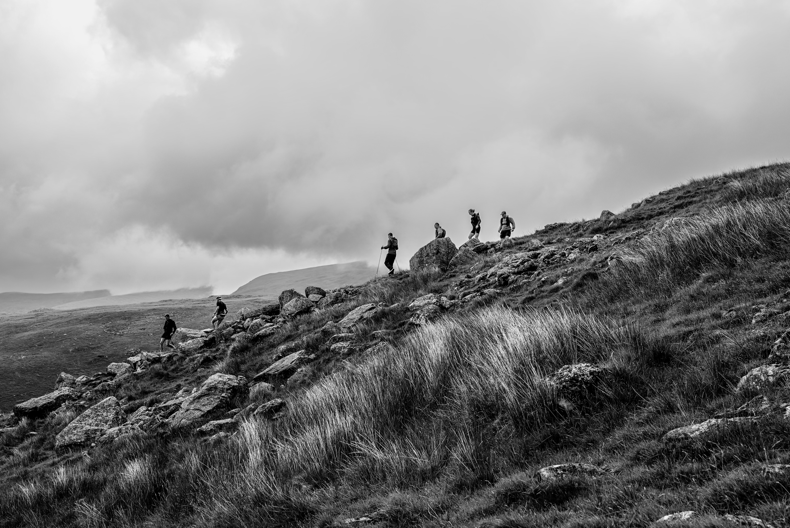 BGR - 260621 - © Tom Wharton 2025-01114