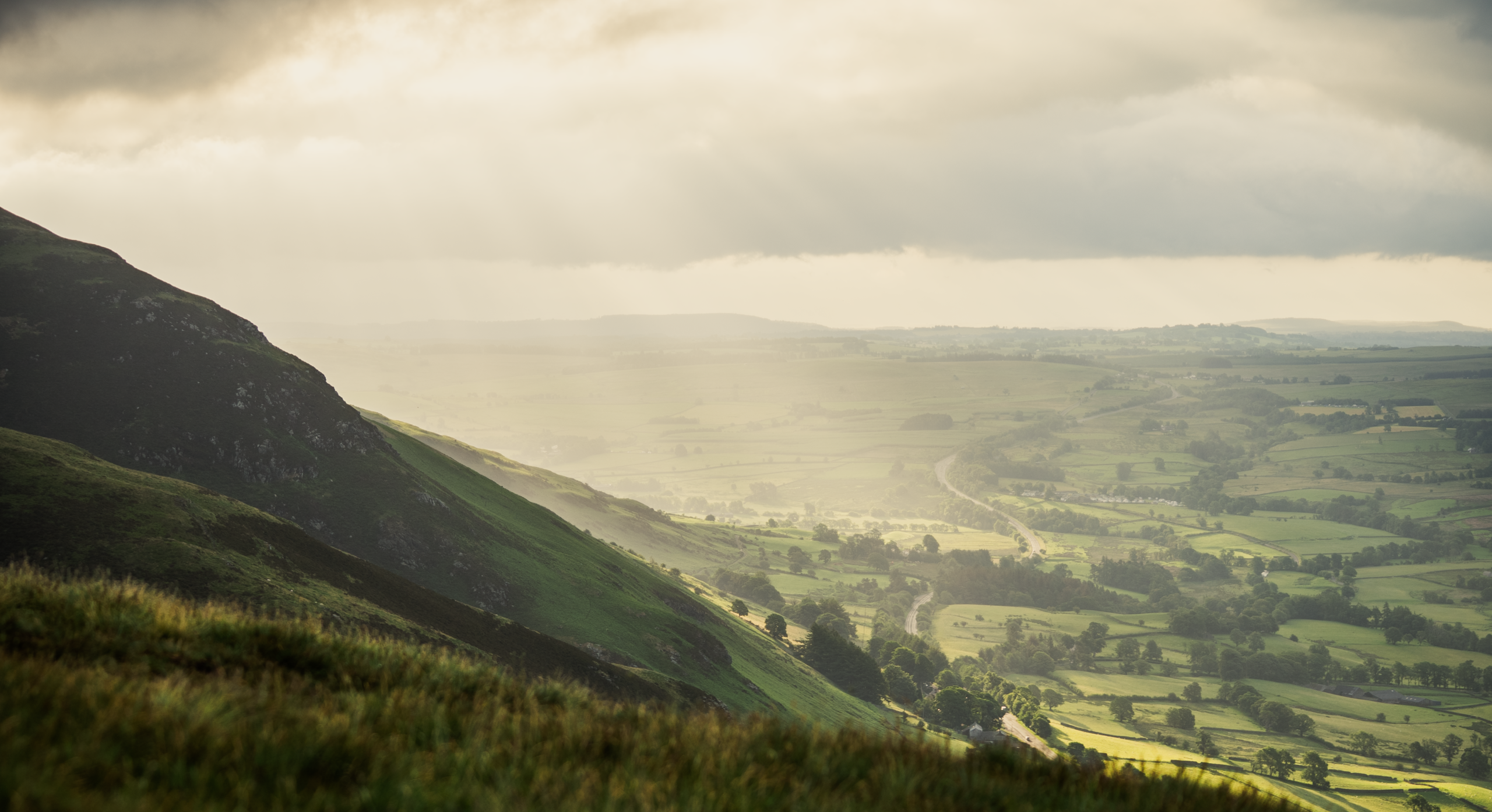 DSC01098_©Tom Wharton 2025